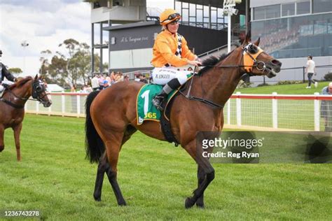 ritchie bros. auctioneers corio photos|Angel Rock after winning the Ritchie Bros Auctioneers Fillies and .